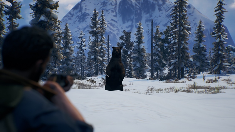 Winter Bear Meets Shotgun