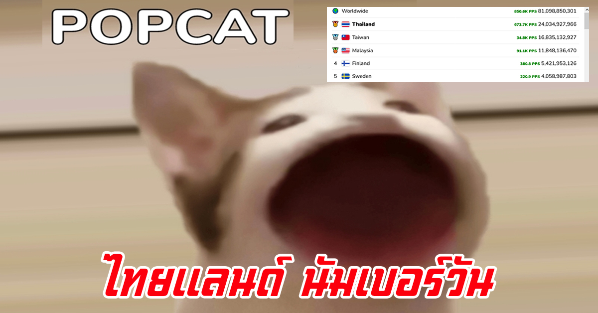 popcat thai