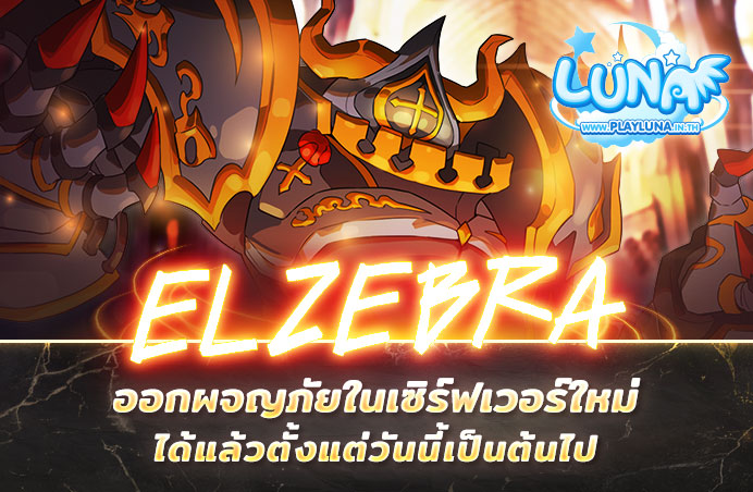 20211216 Elzebra Banner