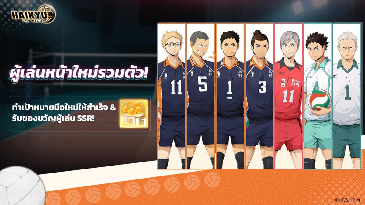 HAIKYU FLY HIGH ผู้เล่นหน้าใหม่รวมตัว