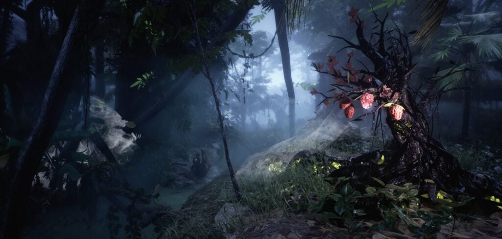 Wilderdark 2026 04 30 26 003 1024x488 1