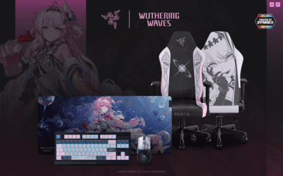Main KV Wuthering Waves
